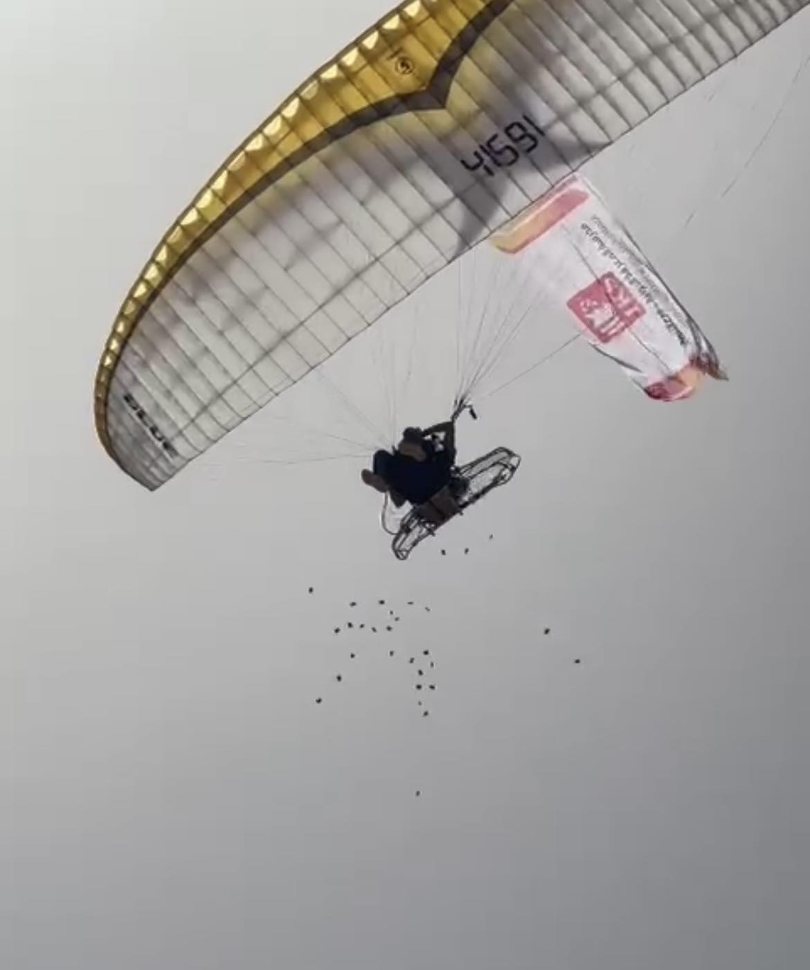 347239451_228320616645596_8185351716263089872_n